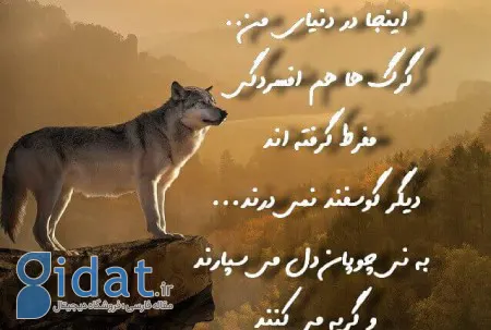 عکس نوشته درباره گرگ,عکس نوشته های انگیزشی درباره گرگ,عکس پروفایل گرگ با نوشته های انگیزشی