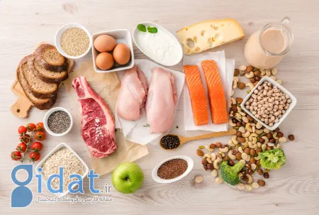 تقویت عضلات در سالمندان, پروتئین برای افراد مسن