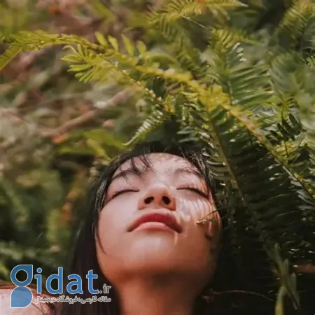 حمام جنگل: سنت ژاپنی برای هماهنگی با طبیعت