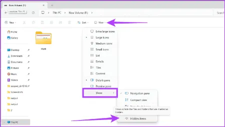 نمایش فایل‌های مخفی در ویندوز 11, آموزش نمایش فایل‌های پنهان در ویندوز 11