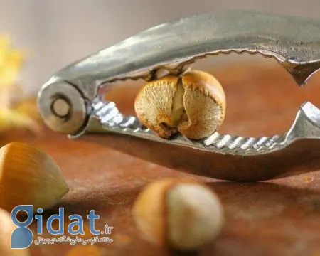  خندان کردن فندق, آموزش خندان کردن فندق
