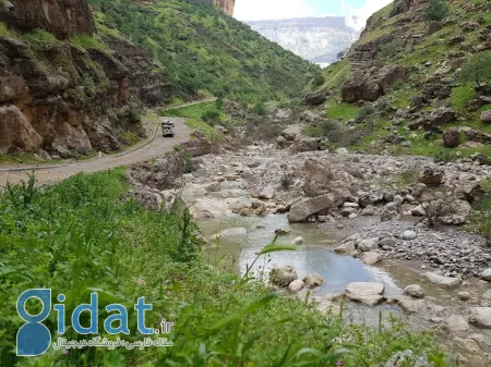 تنگه زرانگوش,تنگه زارانگوش ایلام