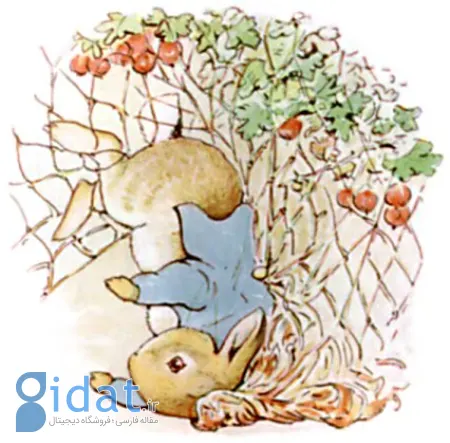 ماجراهای خرگوش