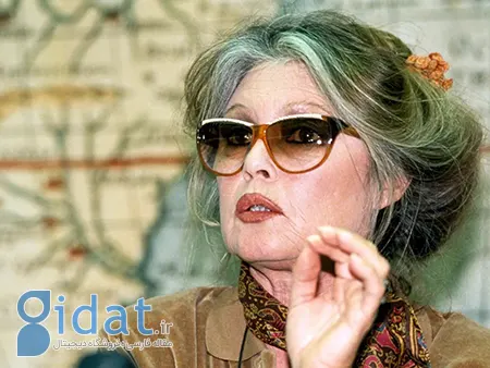 بیوگرافی بریژیت باردو, زندگی‌نامه بریژیت باردو
