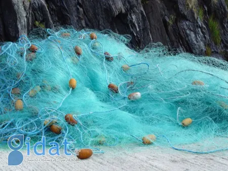 رازهای موفقیت در ماهیگیری: راهنمای خرید تورهای برتر و کاربردی