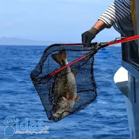 خرید تور ماهیگیری, تور ماهیگیری پرتابی