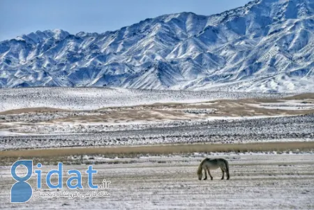 جاهای دیدنی در زمستان, تعطیلات زمستانی