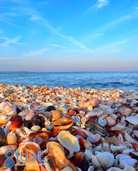 ساحل دستیر, ساحل دستیر پارسیان