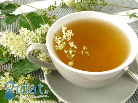 اسپیره کوهی, گیاه اسپیره کوهی