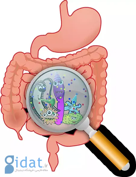 جلوگیری از ویروس معده, چگونه از ویروس معده جلوگیری کنیم