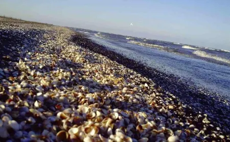 ساحل رامدشت، رودسر: نگینی بکر در قلب گیلان