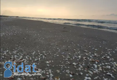 ساحل رامدشت رودسر, جاهای دیدنی رودسر