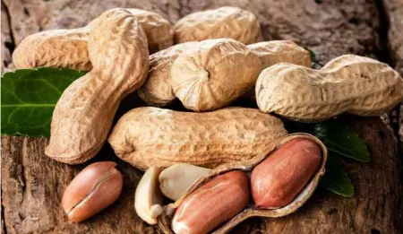 آیا بادام زمینی شما بوی ماندگی می‌دهد؟ این ترفندها معجزه می‌کنند!