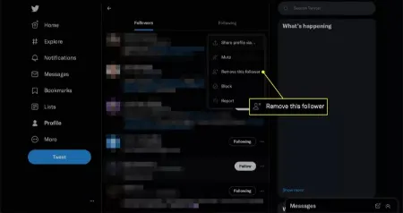 خصوصی کردن حساب X (توییتر), تنظیمات حریم خصوصی X