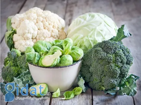 غذاهای پاک‌کننده شریان, پاکسازی شریان‌ها