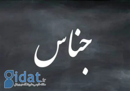 جناس در ادبیات فارسی, جناس در طنز