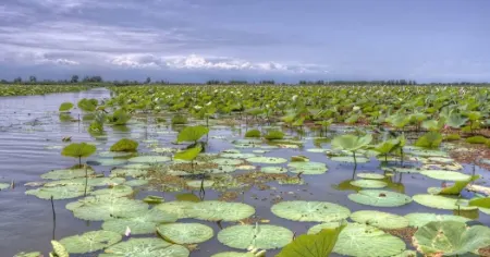 روز جهانی تالاب‌ها, تاریخ روز جهانی تالاب‌ها