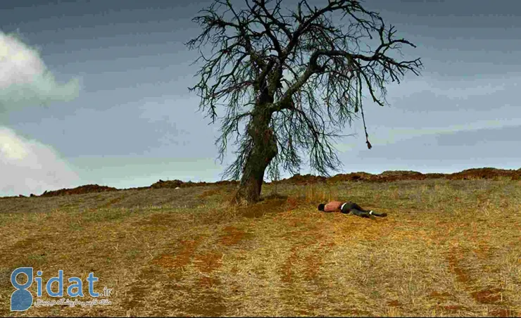 نمایی از فیلم درخت گلابی
