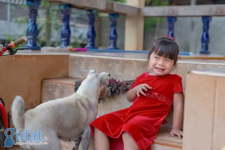 ترسیدن بچه از سگ