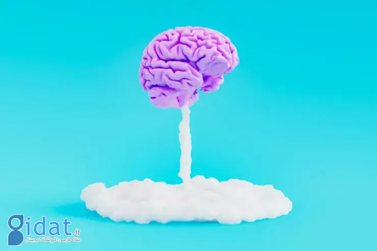انواع تیپ مغزی و تأثیر آن بر شخصیت +‌ تیپ مغزی شما چیست؟