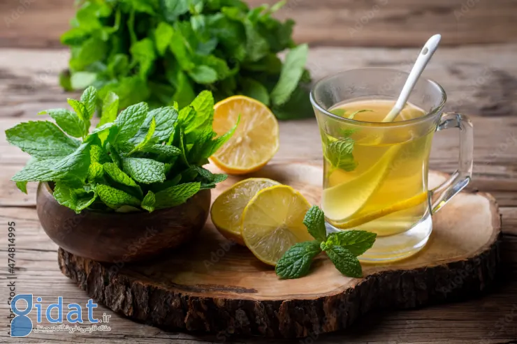 غذاهای محلی ترکیه؛ ۳۷ مورد از غذاهای ترکیه خوشمزه و دلچسب
