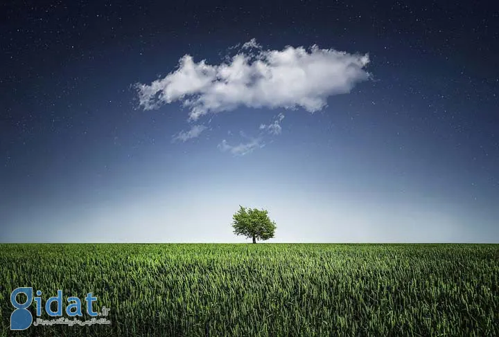 زندگی چیست - شکل‌گیری معنا در ذهن