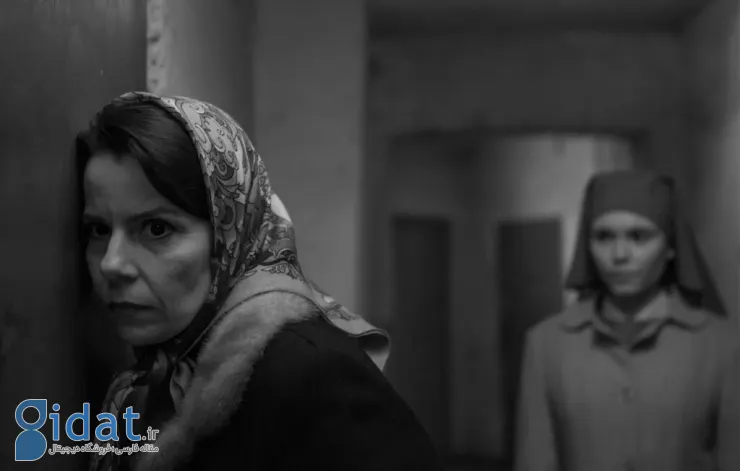 بهترین فیلم‌ها در مورد هولوکاست: روایت‌هایی از تاریک‌ترین فصل تاریخ 