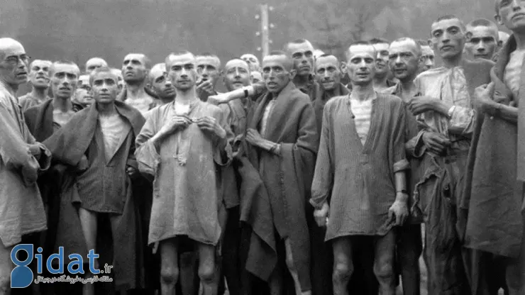بهترین فیلم‌ها در مورد هولوکاست: روایت‌هایی از تاریک‌ترین فصل تاریخ 