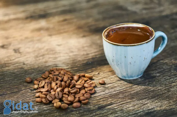 غذاهای محلی ترکیه؛ ۳۷ مورد از غذاهای ترکیه خوشمزه و دلچسب