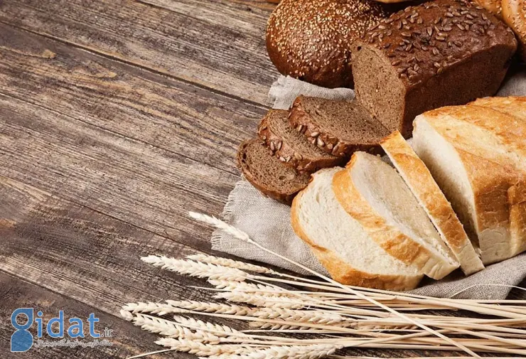 هر کف دست نان چقدر کالری دارد ؟