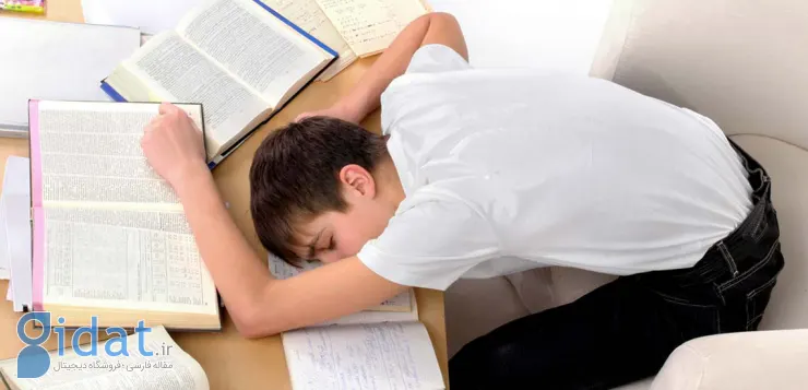 شب امتحان چه بخوریم؛ غذاهایی که شما را برای نمره ۲۰ آماده می کند