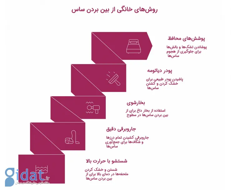 اینفوگرافیک از بین بردن ساس
