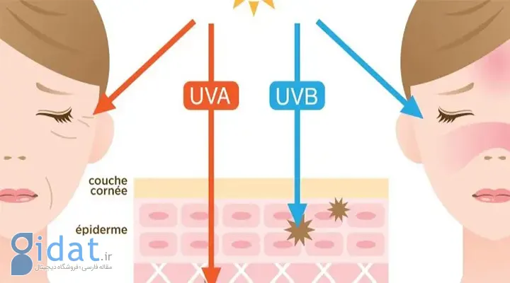 اشعه UVA و UVB و میزان نفوذ آنها