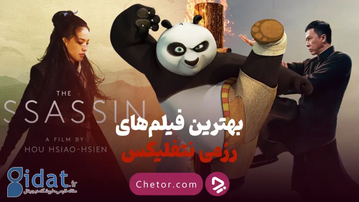 بهترین فیلم های هنرهای رزمی نتفلیکس: پاندای کونگ فو کار یا آیپ من؟