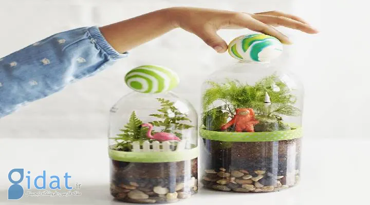 تراریوم با بطری پلاستیکی