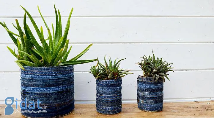 گلدان با شلوار جین