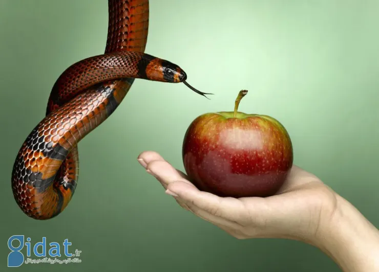 رابطه خارج از ازدواج: چرا وسوسه می‌شویم و چطور وسوسه نشویم؟