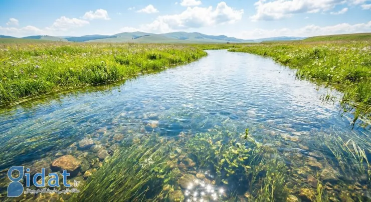 تعبیر خواب باران شدید و سیل (از نظر یونگ، ابن‌سیرین، حضرت یوسف)