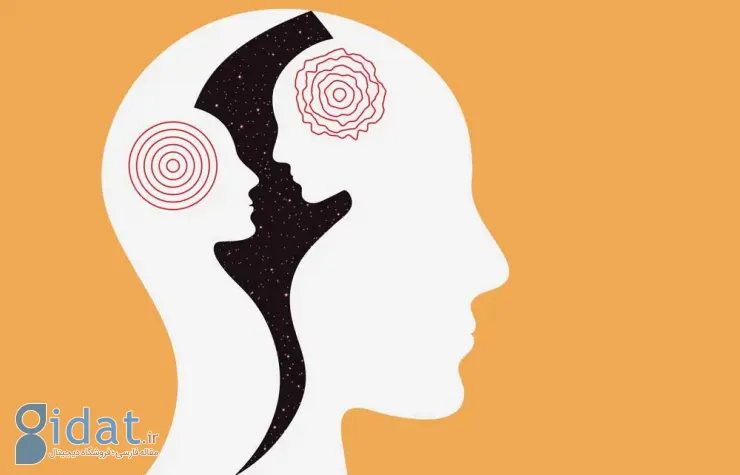 نشانههای اختلال دوقطبی، دلایل و روشهای درمان افراد دوقطبی