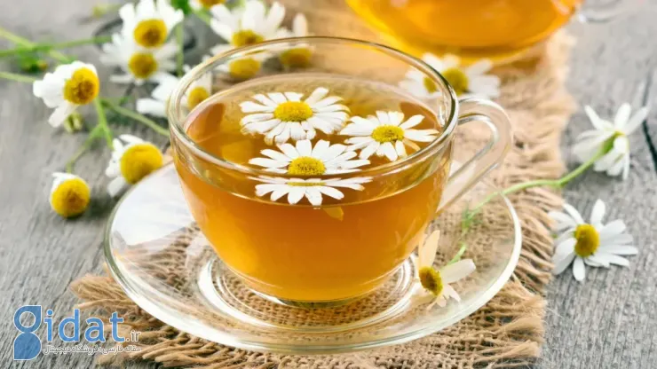 خوشمزه ترین چای های بهاری؛ معرفی 12 دمنوش مناسب فصل بهار
