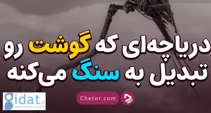 ویدئو: دریاچه ای که گوشت را به سنگ تبدیل می کند. دریاچه ناترون