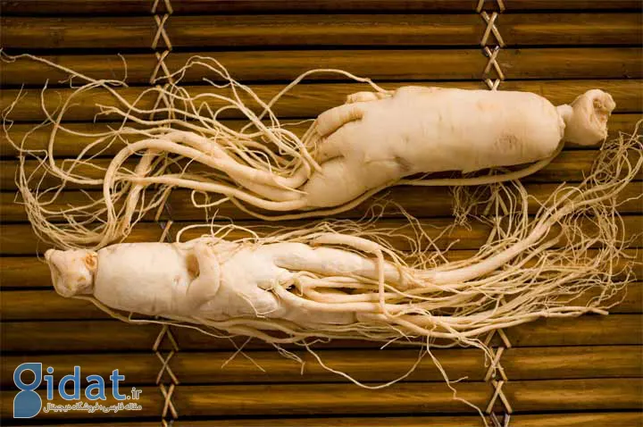مصرف جینسنگ ، درمان بی حالی و کسالت