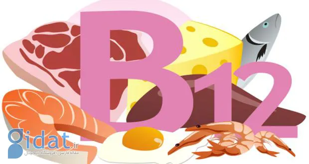 ب12 - چگونه باهوش شویم