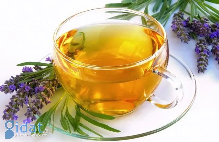 اسطوخودوس - دمنوش گیاهی برای تقویت موی سر و کاهش ریزش مو