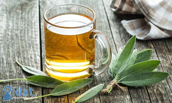 مریم گلی - دمنوش گیاهی برای تقویت موی سر و کاهش ریزش مو