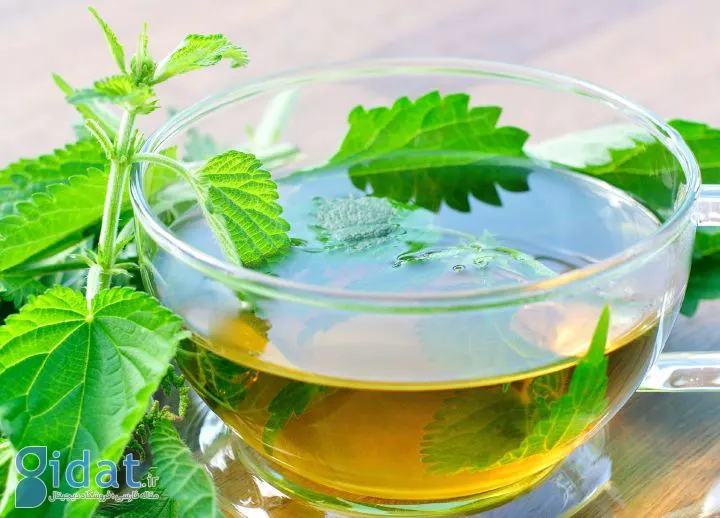 گزنه - دمنوش گیاهی برای تقویت موی سر و کاهش ریزش مو