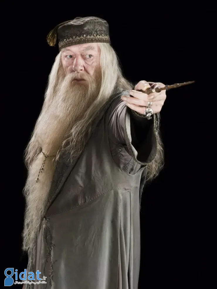 Albus Dumbledore | دامبلدور در قدرتمندترین جادوگران هری پاتر دوم است