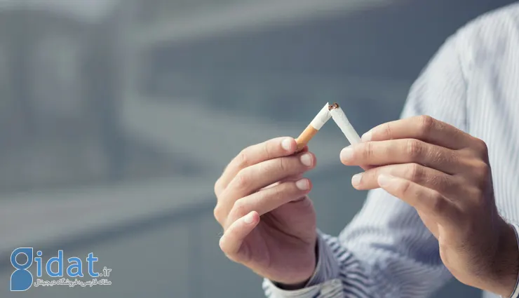 60 جایگزین برای زمانی که تمایل به سیگار کشیدن دارید