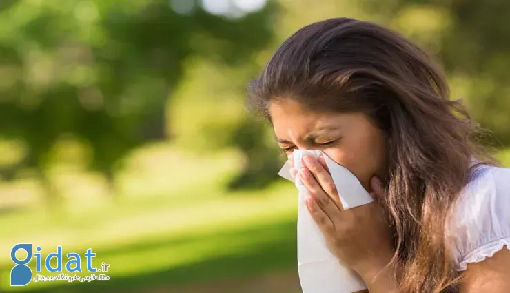 8 آنتی هیستامین طبیعی برای درمان انواع آلرژی ها
