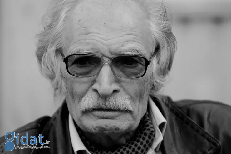 محمود دولت آبادی